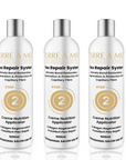 Terre a Plex Repair Step 2 (500ml)
