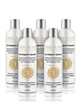 Terre a Plex Repair Step 1 (250ml)