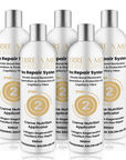 Terre a Plex Repair Step 2 (500ml)