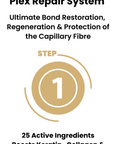 Terre a Plex Repair Step 1 (250ml)