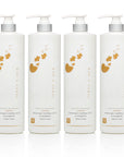 Terre a Mer Intensive Clarifier 1L
